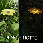 Il Giardino Di Frida *