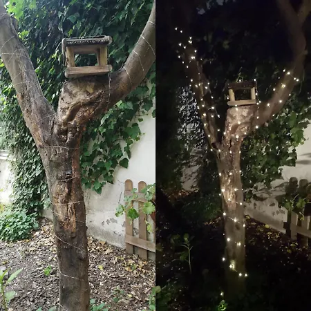 Il Giardino Di Frida